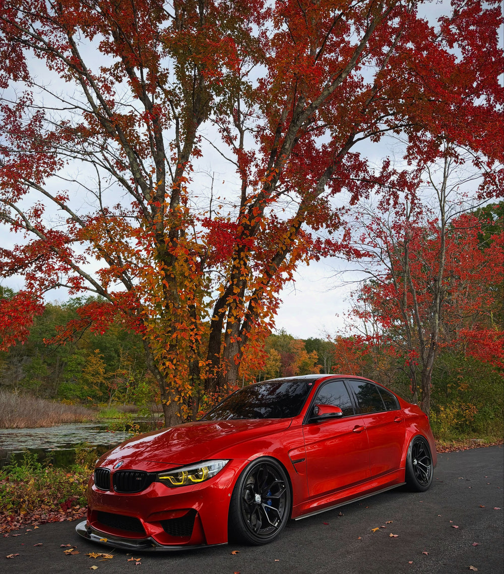 @F8XANT
